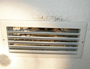 mold growth around an air vent