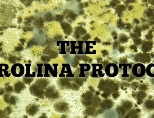 The Carolina Protocol for Mold Removal