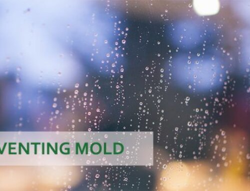 9 Tips for Preventing Mold