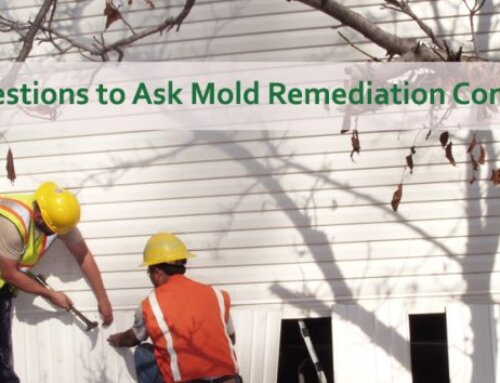 10 Questions To Ask A Mold Remediation Company